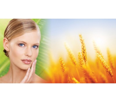 Ceramides Create Youthful Skin from Within